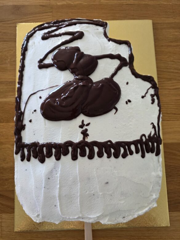morcake – עוגת ארטיק ללא גלוטן 18